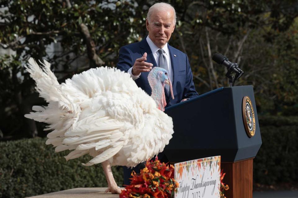 <p>Win McNamee/Getty</p> Joe Biden pardons the National Thanksgiving turkeys