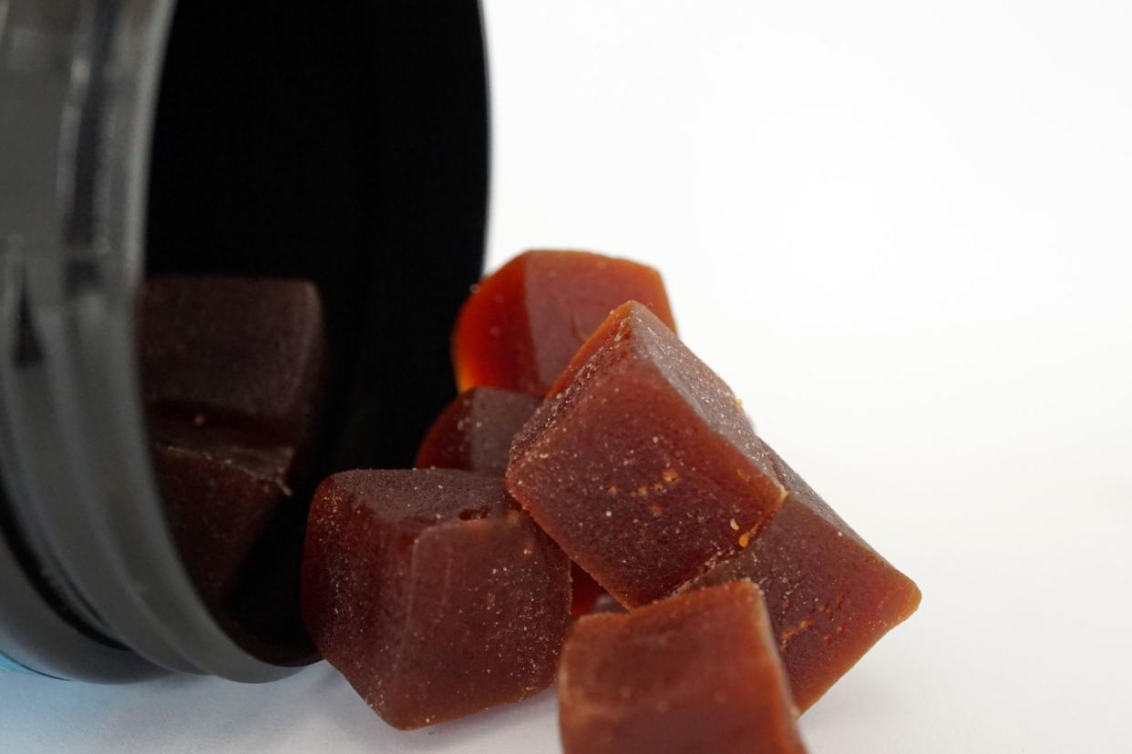 Closeup of square maroon CBD gummies out of black container against a white background