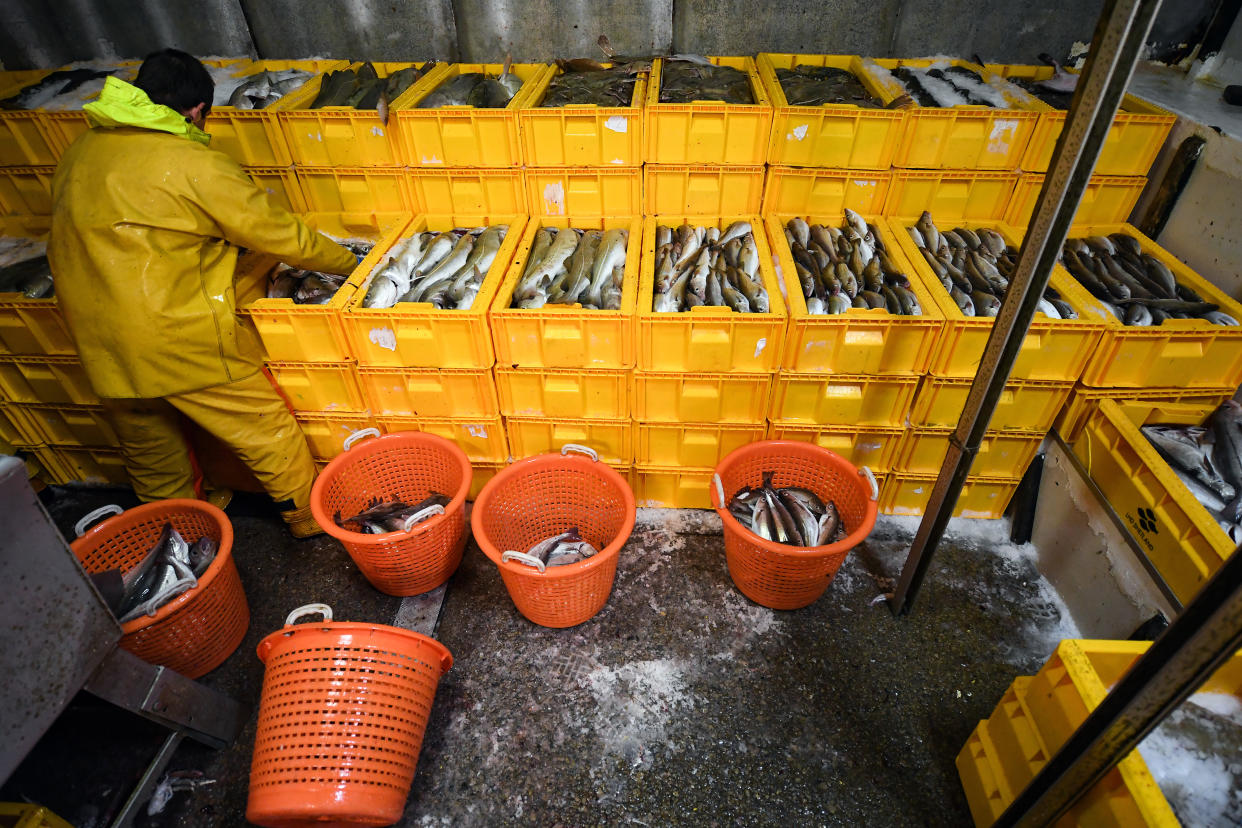 LERWICK, SCOTLAND - DECEMBER 05: Crew members of the Radiant Star fishing in the North Sea on December 5, 2018 in Shetland, Scotland. The UK fishing industry has been a vocal constituency throughout the negotiation of the draft Brexit agreement, which promises to leave the Common Fisheries Policy in favor of a new deal with the European Union by 2020. But EU leaders have stated their goal is to build on current policies of reciprocal access and share quotas. Members of the Scottish fishing fleet are concerned the new fisheries policy would still relinquish too much of its catch to European states and fail to restore full control over UK waters. (Photo by Jeff J Mitchell/Getty Images)