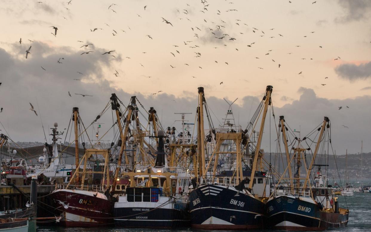 The British fishing industry is hoping for a post-Brexit renaissance.  - Matt Cardy /Getty Images 