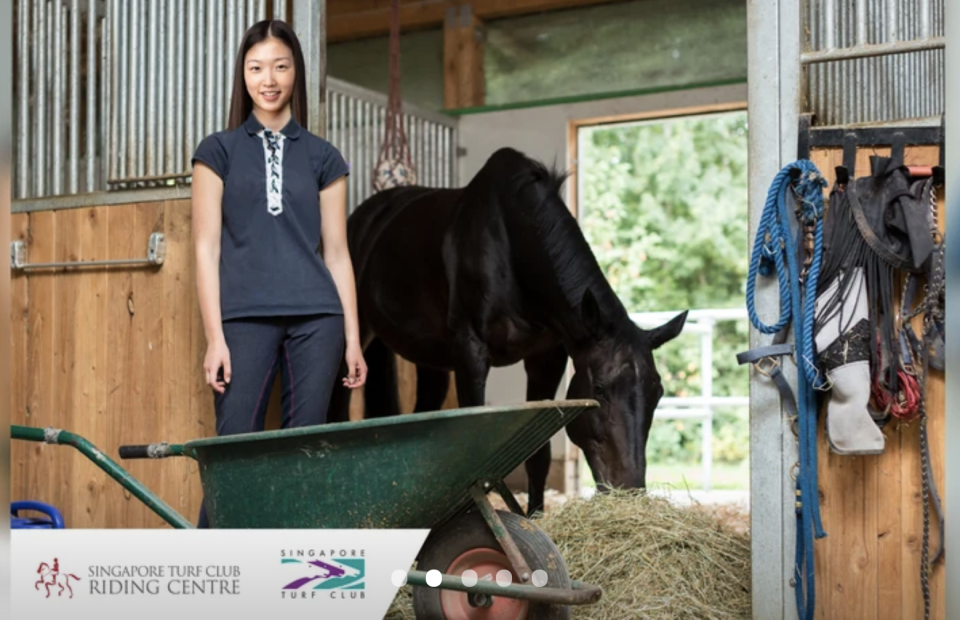 [Klook Exclusive] Up Close with Horses Grooming Session. PHOTO: Klook