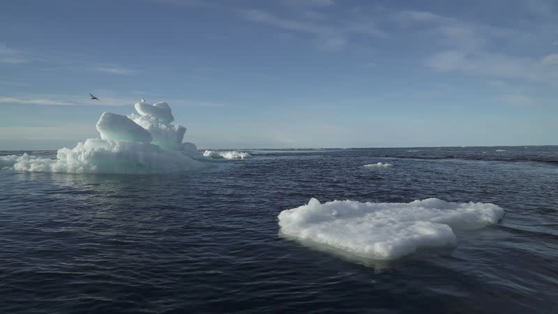 Floating ice is seen during the expedition of the The Greenpeace's Arctic Sunrise ship at the Arctic Ocean