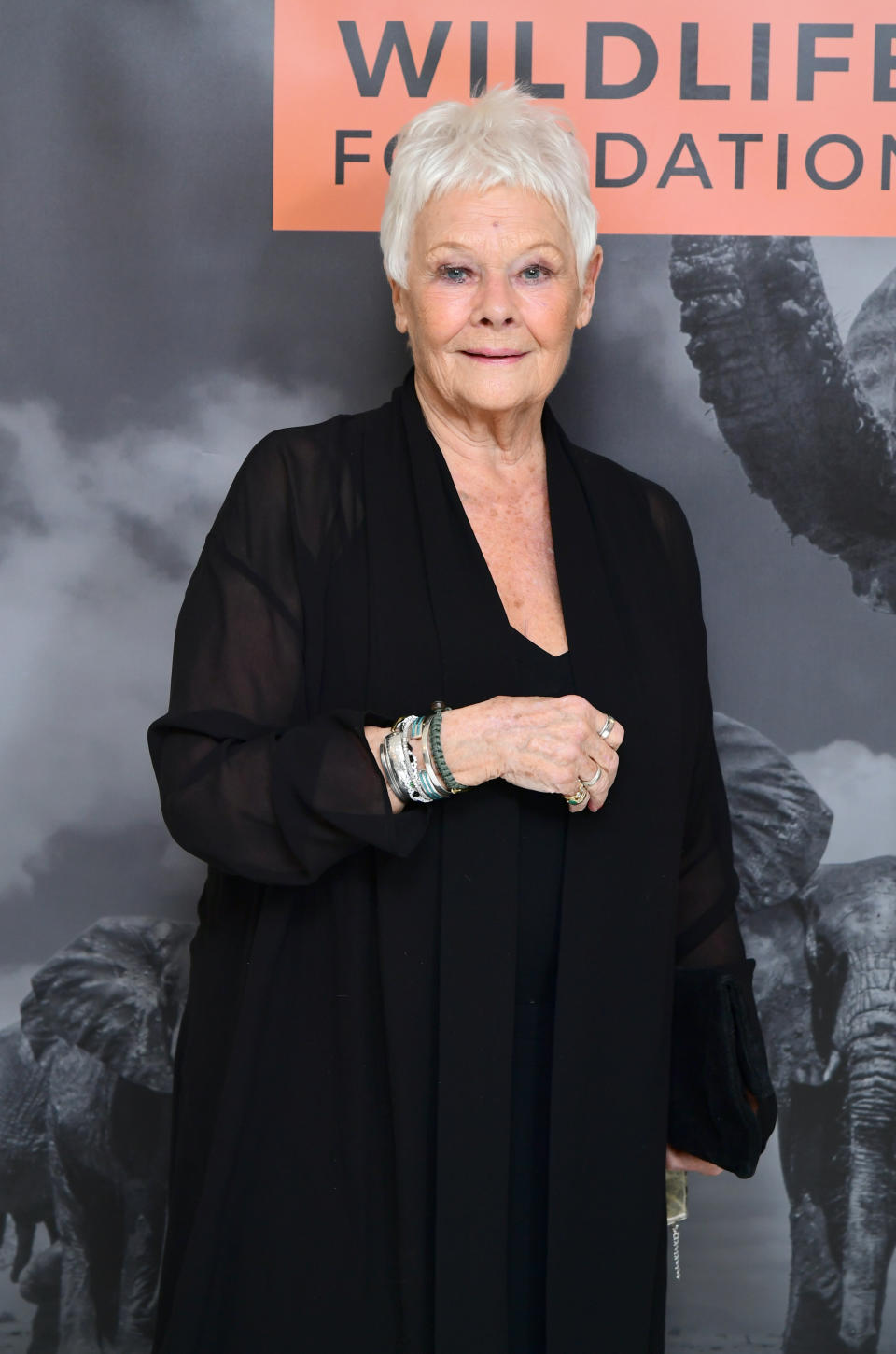 Dame Judi Dench arriving at the Wildlife Ball fundraiser at the Dorchester in London. (Photo by Ian West/PA Images via Getty Images)