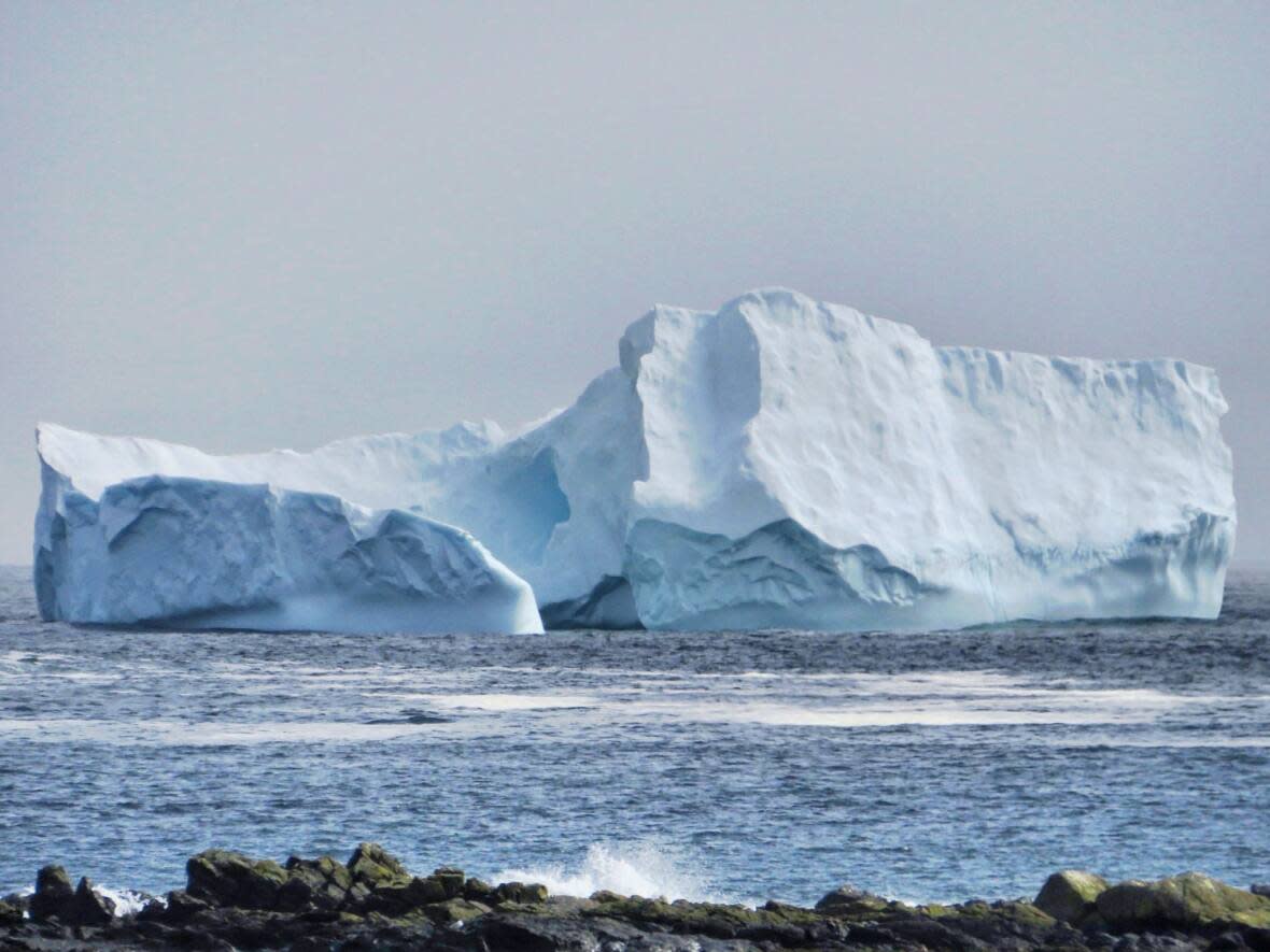 Photographer Aleesha Bootsma went with her husband Andrew Wiscombe and son, Brady, to see and grab pictures of the iceberg off Ferryland's coast. (Submitted by Aleesha Bootsma - image credit)
