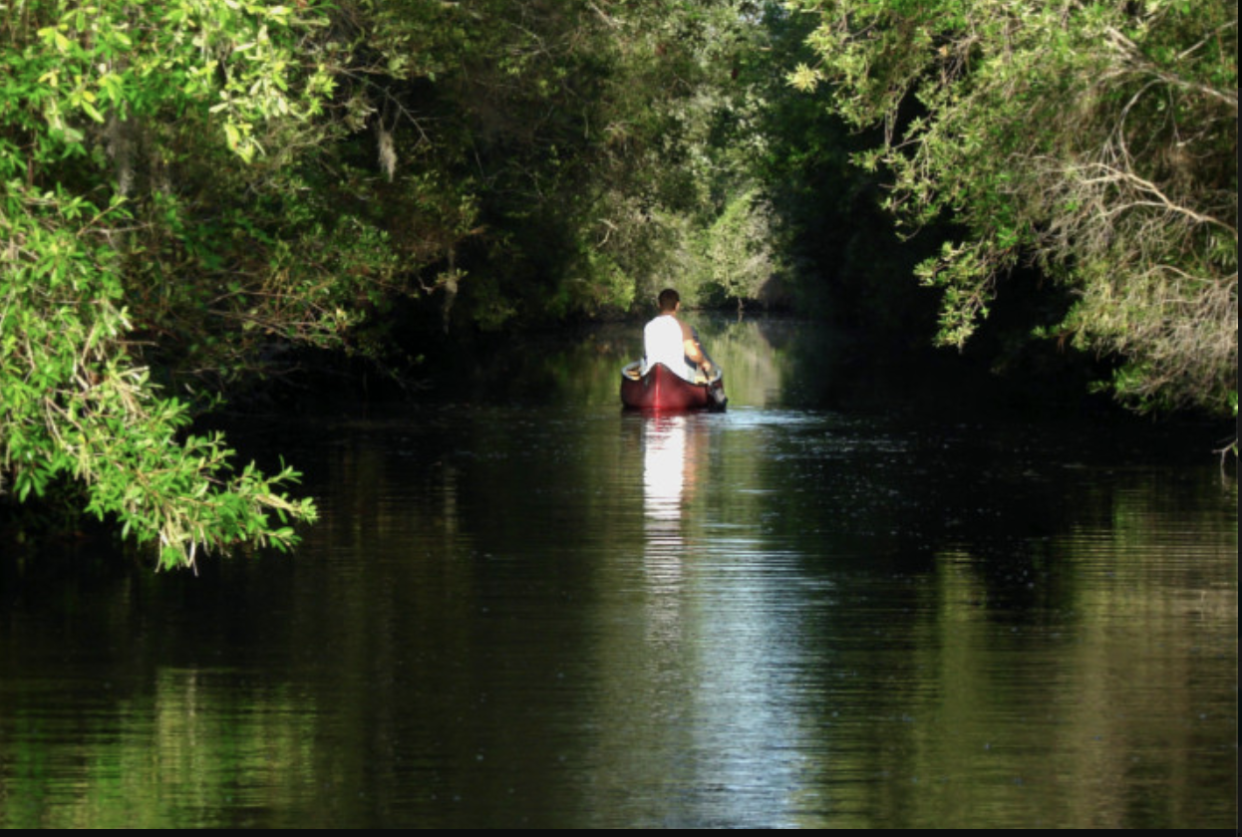 FILE: The Okefenokee Swamp and wildlife refuge is popular for outdoor recreation. The National Wildlife Refuge has become the site of recent hot debate since an Alabama-based mining company, Twin Pines Minerals, has applied to open a titanium dioxide mine at the edge of the swamp.