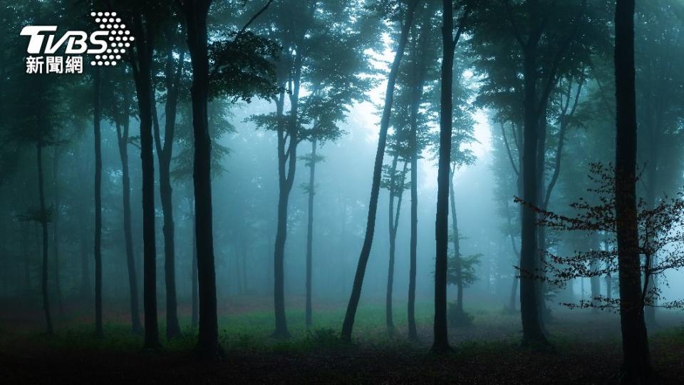 屬虎朋友犯太歲，要避免前往山區。（示意圖／shutterstock 達志影像）