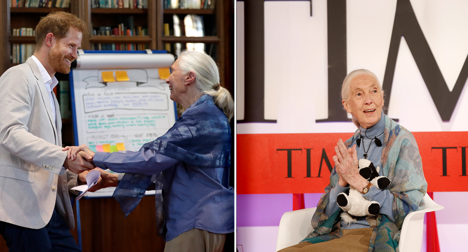 Jane Goodall is pictured left with Prince Harry. On the right she sits in front of a Time magazine logo.