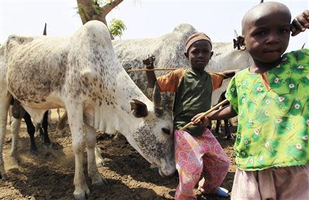 Young Fulani herdsboy are pictured with their cattle in Zango, Zango-kataf local govt, Kaduna State March 22, 2014. REUTERS/Afolabi Sotunde