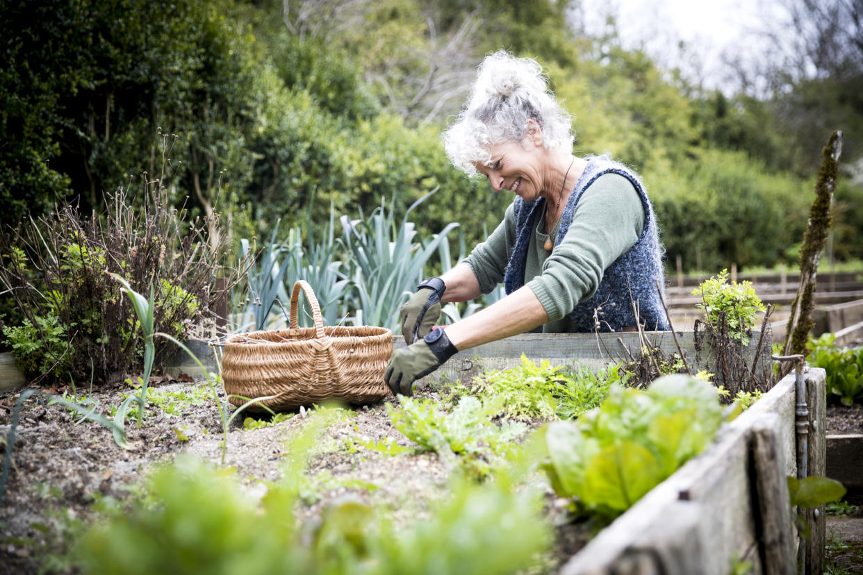 Gardening is part of the NHS's green social prescribing practice. (Getty Images)