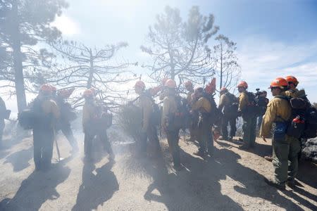 Members of the Los Padres Hot Shot crew wait atop a hill during the Wilson Fire near Mount Wilson in the Angeles National Forest in Los Angeles, California, U.S. October 17, 2017. REUTERS/Mario Anzuoni