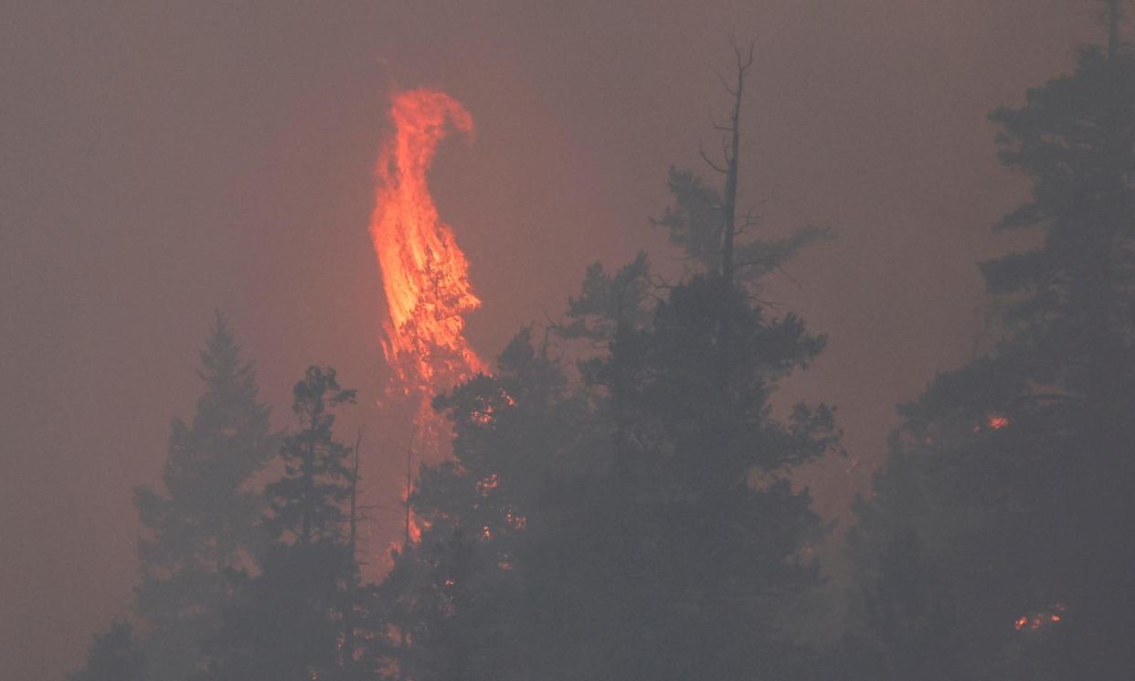 <span>Flames and smoke from the Shetland Creek wildfire rise outside Ashcroft, British Columbia, where people are on evacuation alert at the weekend.</span><span>Photograph: Jesse Winter/Reuters</span>