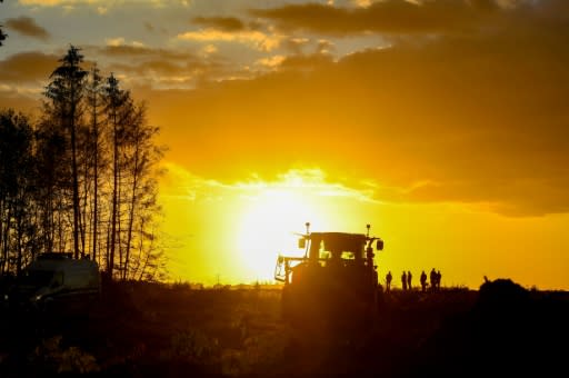 An ancient German forest gets a reprieve