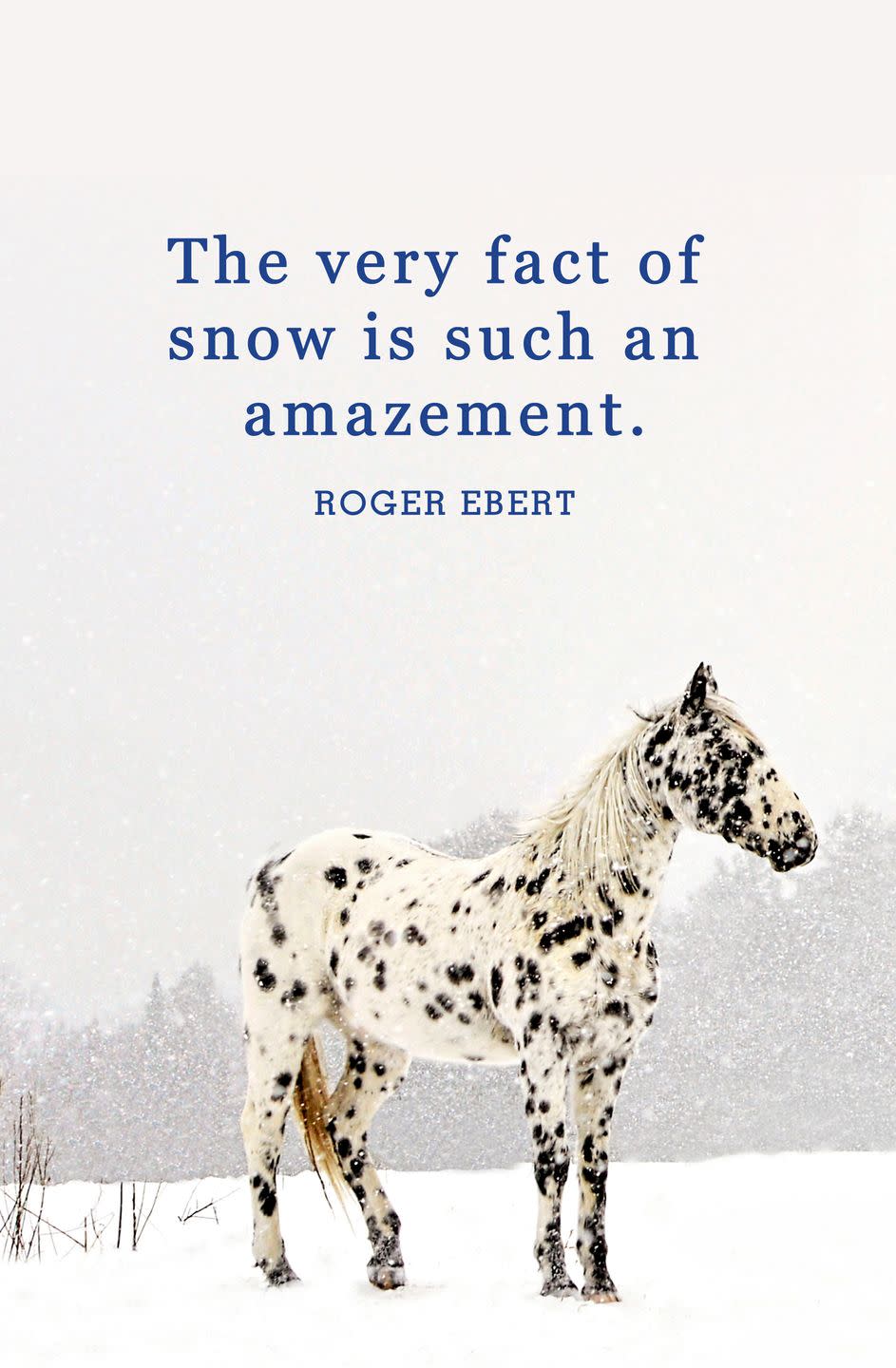 <p>"The very fact of snow is such an amazement."</p>