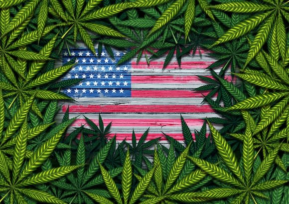 An American flag surrounded by marijuana leaves.