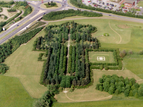 The Cathedral of Trees from above - Credit: The Parks Trust