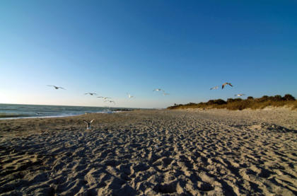 Venice Beach near Sarasota, Florida (Photo: Sarasota Convention and Visitors Bureau)