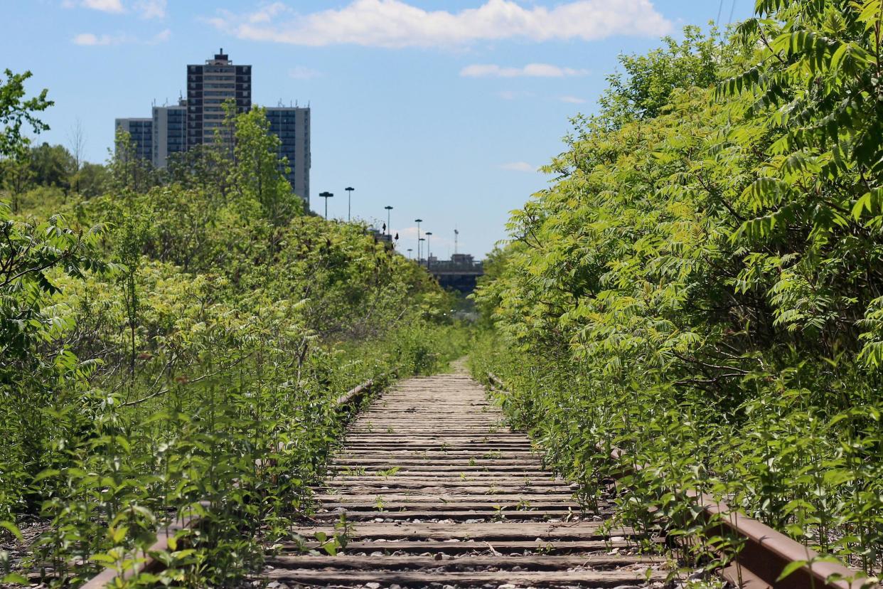 Toronto ravine network is one of the city's best features: Adam Kuplowsky