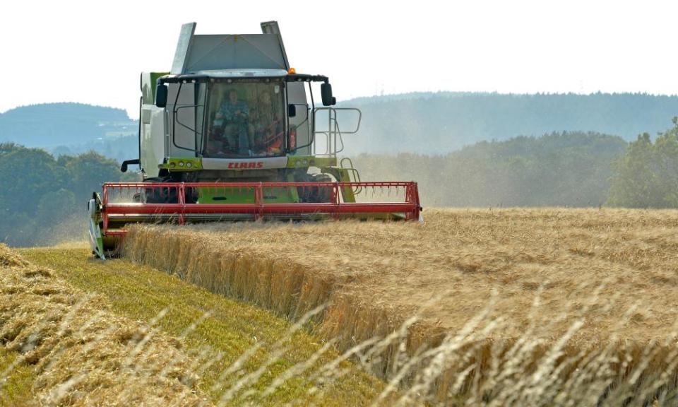 Combine harvester