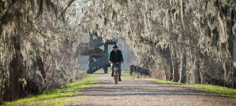 Brazos Bend State Park (Texas Parks and Wildlife Department photo)