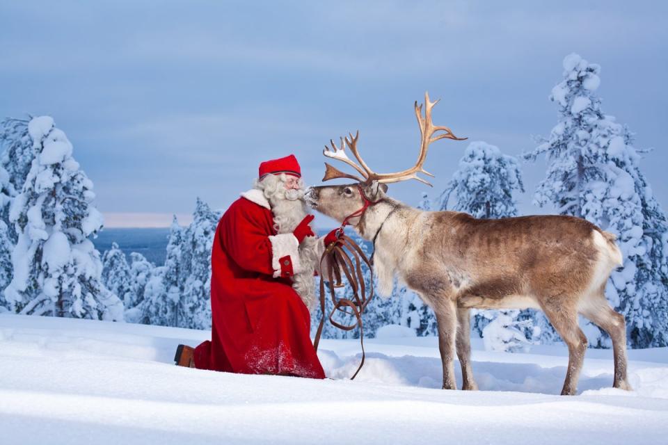 Felicity and her family go Santa hunting in Lapland (Felicity Byrnes)