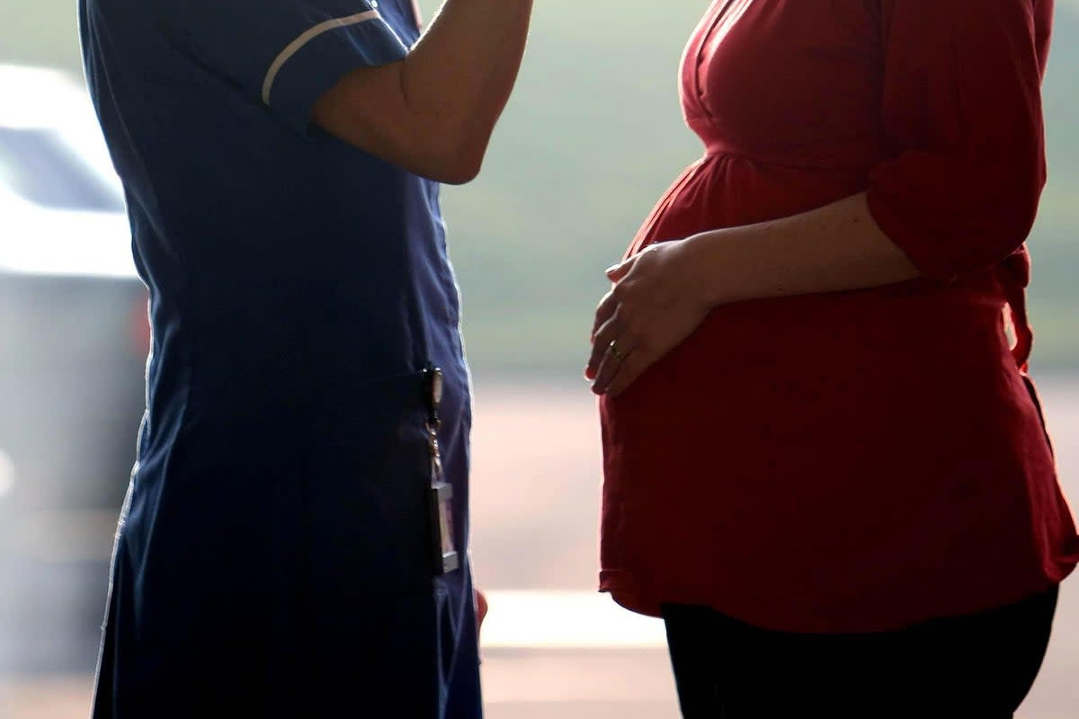 Dr Mary-Ann Stephenson, director of the Women’s Budget Group, which analyses government policy from a gender perspective, argued the ‘assumption’ that ‘women’s primary purpose is to have babies is a damaging one’  (PA Wire)