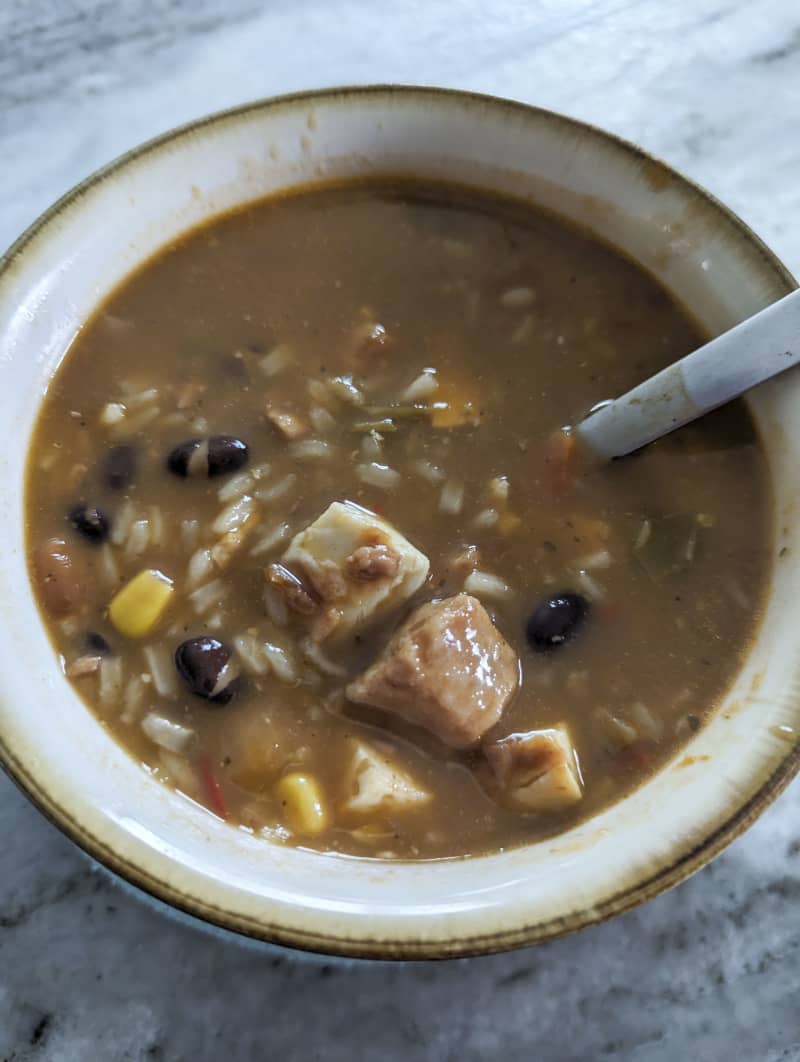 Tyson grilled and ready chicken in a bowl of soup.