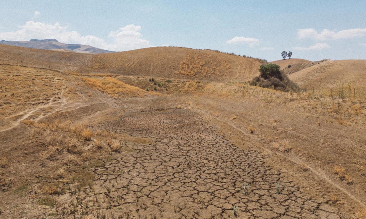 <span>Agricultural land in southern Sicily is becoming impossible to farm thanks to worsening drought.</span><span>Photograph: Roberto Salomone/The Guardian</span>