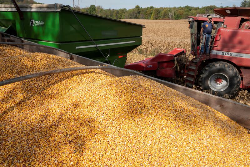 FILE PHOTO: Don Nething harvests corn in Ravenna, Ohio, Oct 11, 2021
