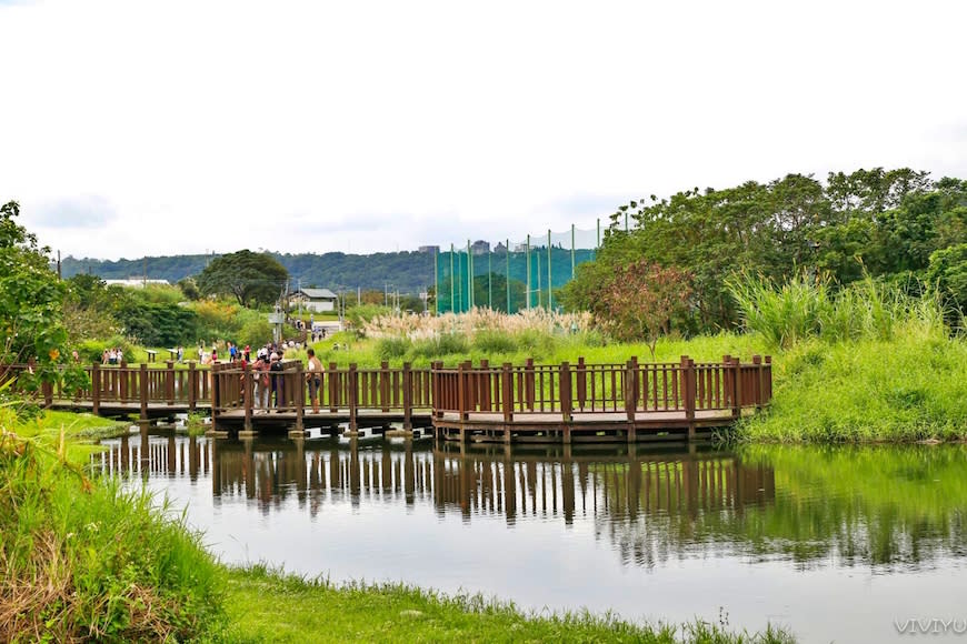 桃園大溪｜月眉人工濕地生態公園