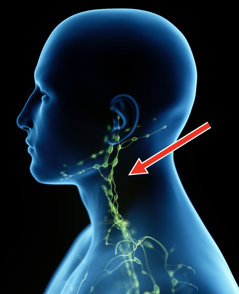 A digital illustration of a human's lymphatic system from the neck up, highlighting nodes and pathways