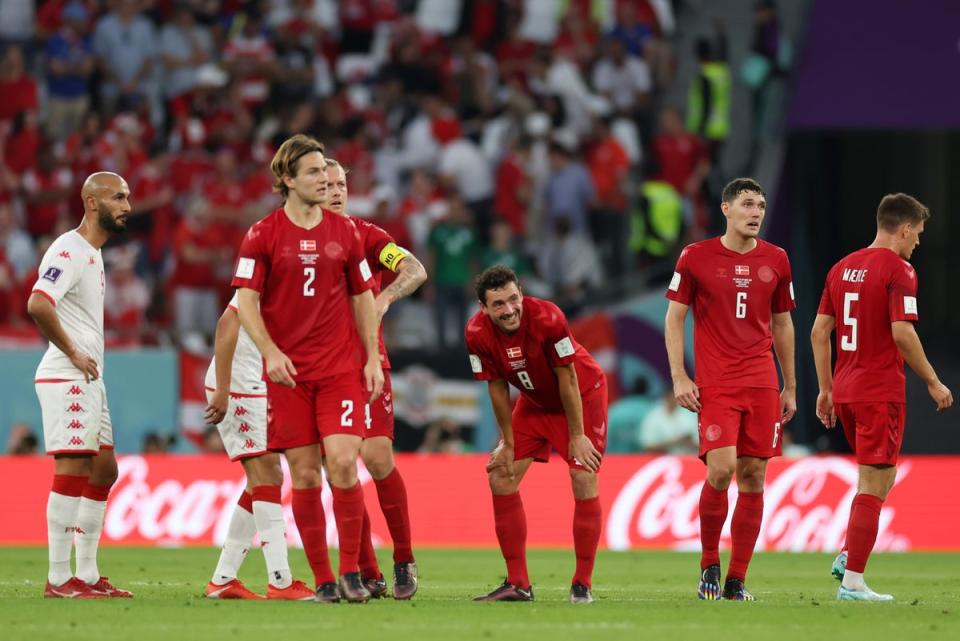 Held: Dark horses Denmark drew with an impressive Tunisia side  (Getty Images)