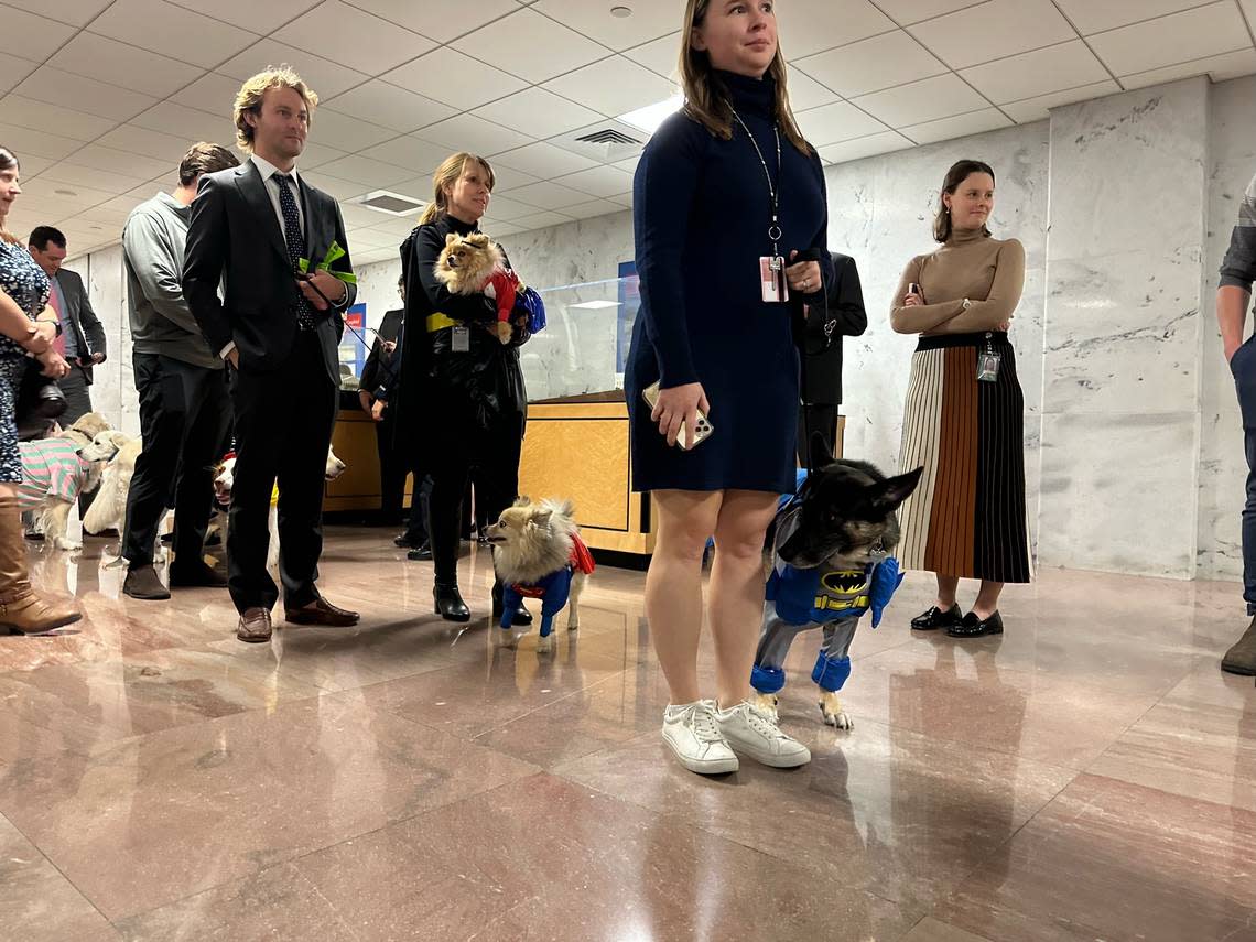 Dogs and their humans line up for the Bipawtisan Howl-o-ween Dog Parade on Oct. 31, 2023, in Washington, DC.