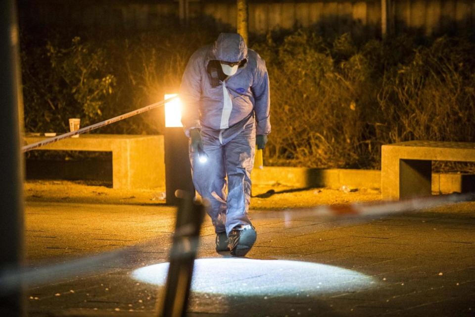 A forensic officer examines the scene in North Acton (Lucy Young)