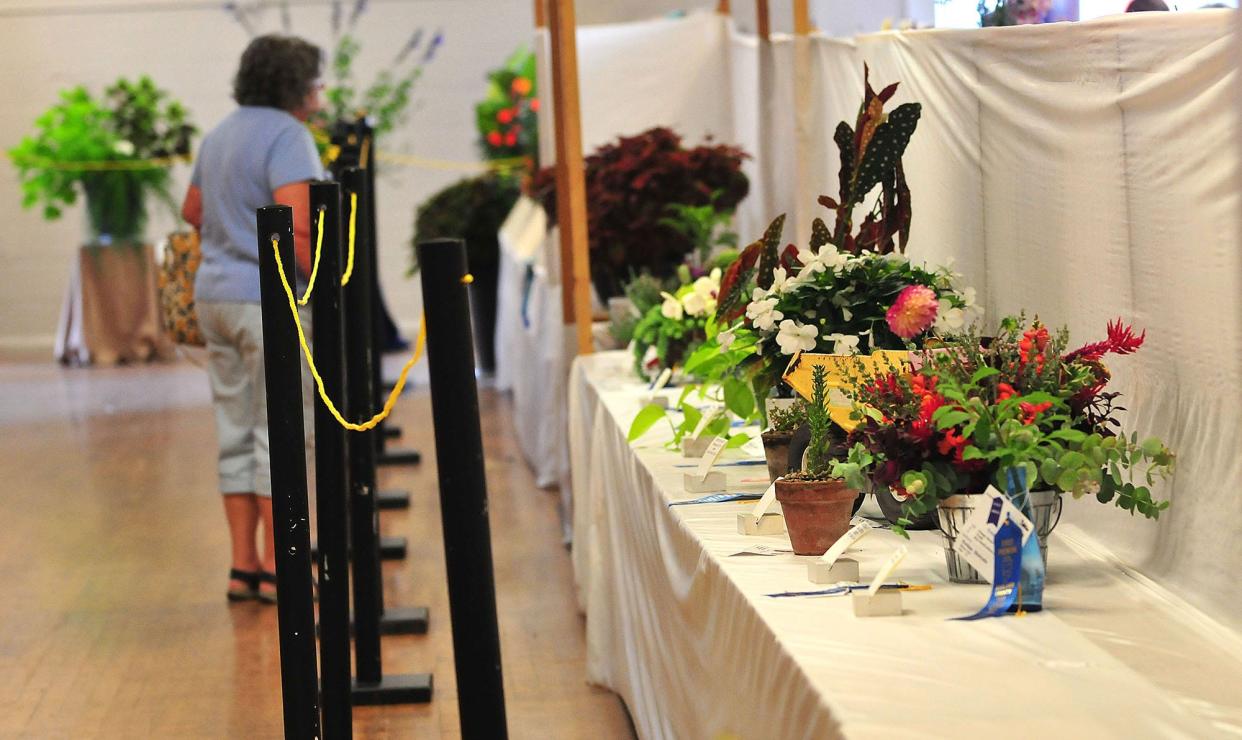 Fairgoers take in the Flower Show at the Ashland County Fair Sunday, Sept. 18, 2022. The flowers were on display in Mozelle Hall. Liz A. Hosfeld/for Ashland Times-Gazette