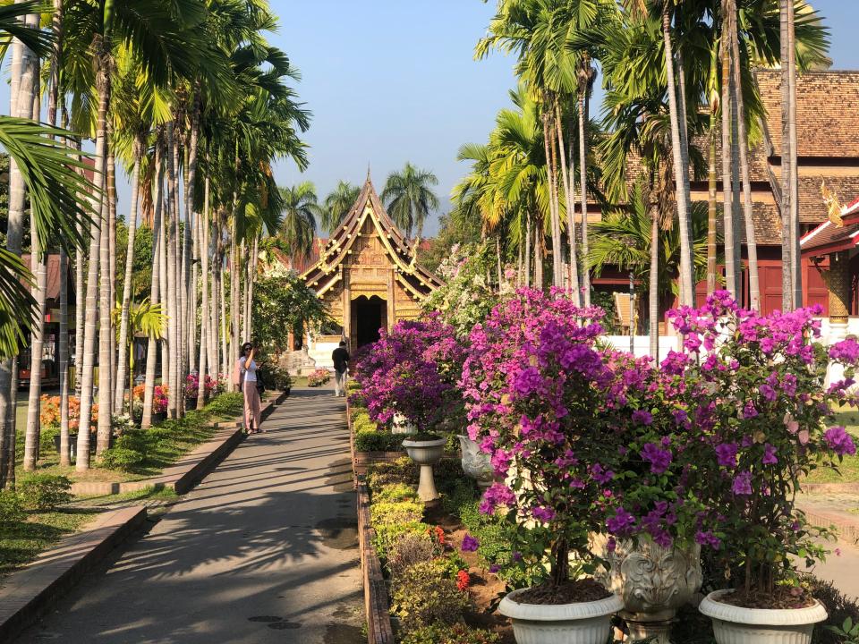 Flowers and plants lining a road in Chang Mai 