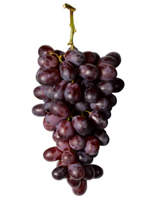 Grapes/Red Wine