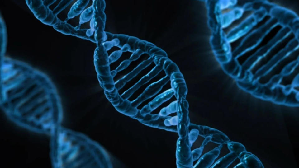 <strong>馬兜鈴酸是現今已知的基因突變物質中最強的，甚至高於尼古丁及紫外線。（示意圖／pixabay）</strong>