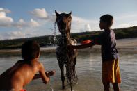 The Wider Image: As crops fail, Indonesia's Sumba seeks lifeline in weaving, fishing