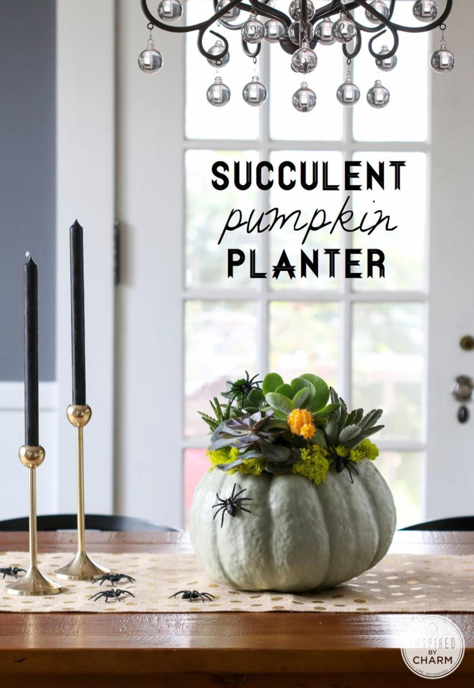 Pumpkin Planter