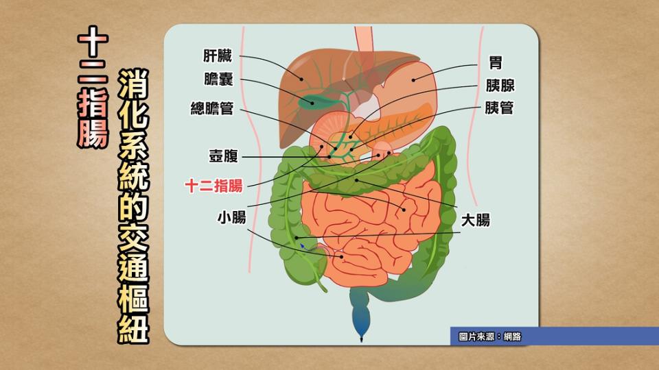 (圖／TVBS)