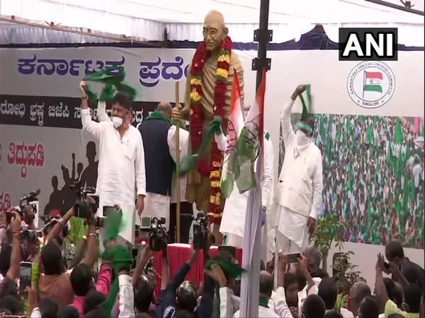 Congress members protest agaisnt the three Farm Acts in Bengaluru on Monday. (Photo/ANI) 