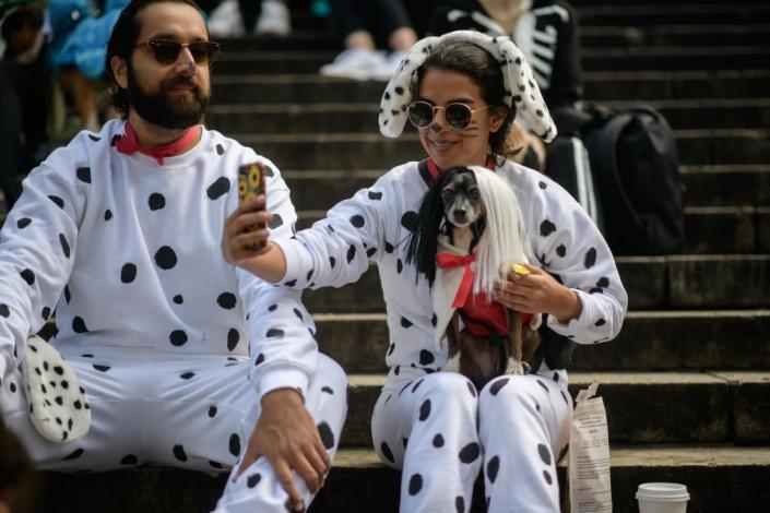 <p>Especially if you have a Dalmatian, this costume idea is a no brainer. You can get the Cruella look with a black and white wig, or for an unexpected twist, let your dog play her character. </p><p><a class="link " href="https://www.amazon.com/Ruina-Cruella-Resistant-Synthetic-Halloween/dp/B08B5RW1RB?tag=syn-yahoo-20&ascsubtag=%5Bartid%7C10070.g.40266325%5Bsrc%7Cyahoo-us" rel="nofollow noopener" target="_blank" data-ylk="slk:Shop Cruella Wigs">Shop Cruella Wigs</a></p>