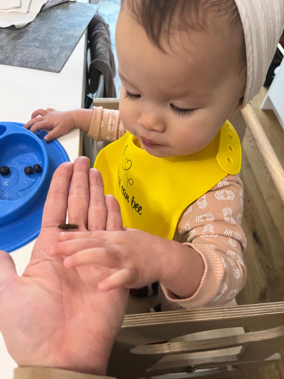 Baby eating crickets