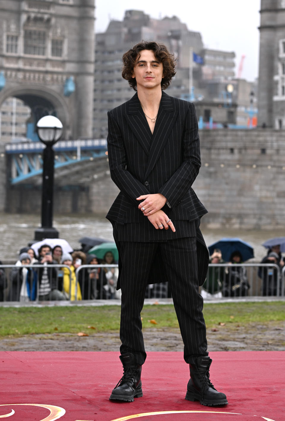 Timothee Chalamet, red carpet, film premiere, award show, shoes, sneakers, boots