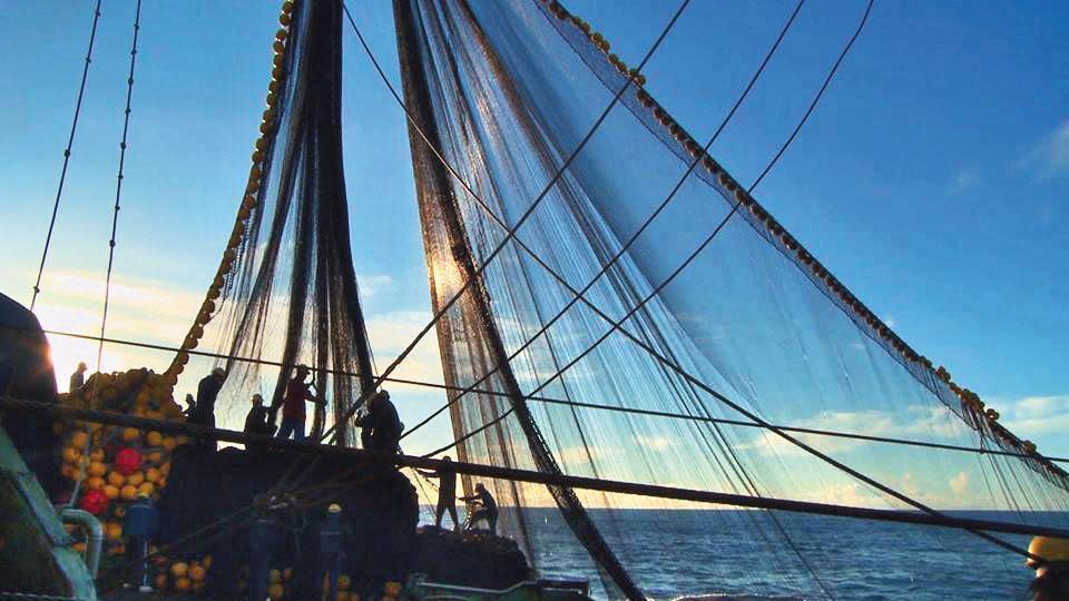 以遠洋漁業為題材的紀錄片《海上情書》是2014年高雄電影節開幕片。（花千樹電影公司提供）