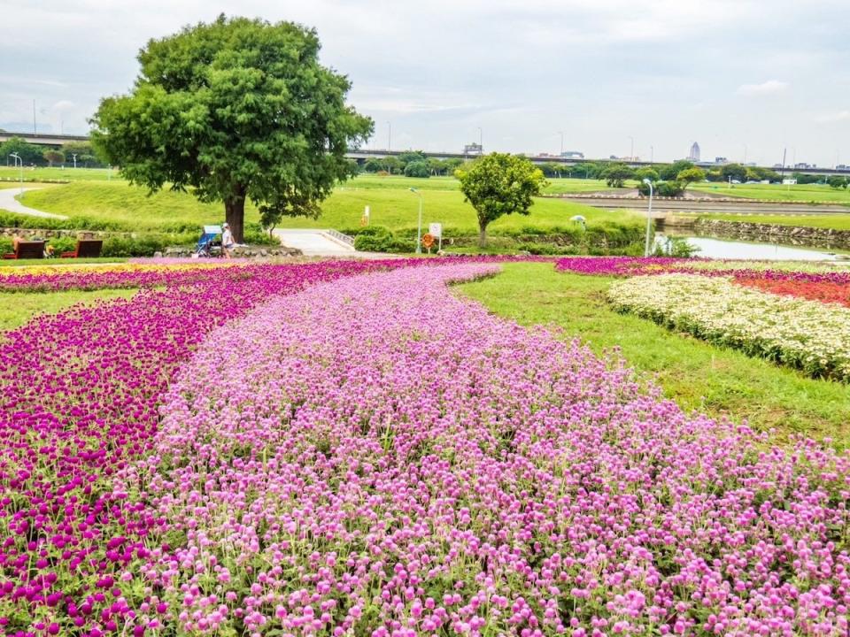 （圖片來源：台北市水利處）