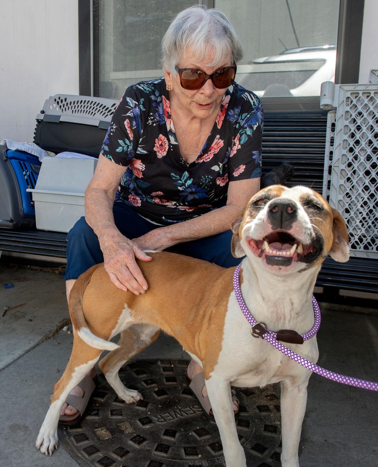 Gerry Kilgore of Salida checks out "Charlie" during the Clear the Shelter event at the Stockton Animal Shelter in south Stockton on Saturday, August 20, 2022. More than 80 dogs and cats were available for free adoption to help relieve overcrowding at the shelter.