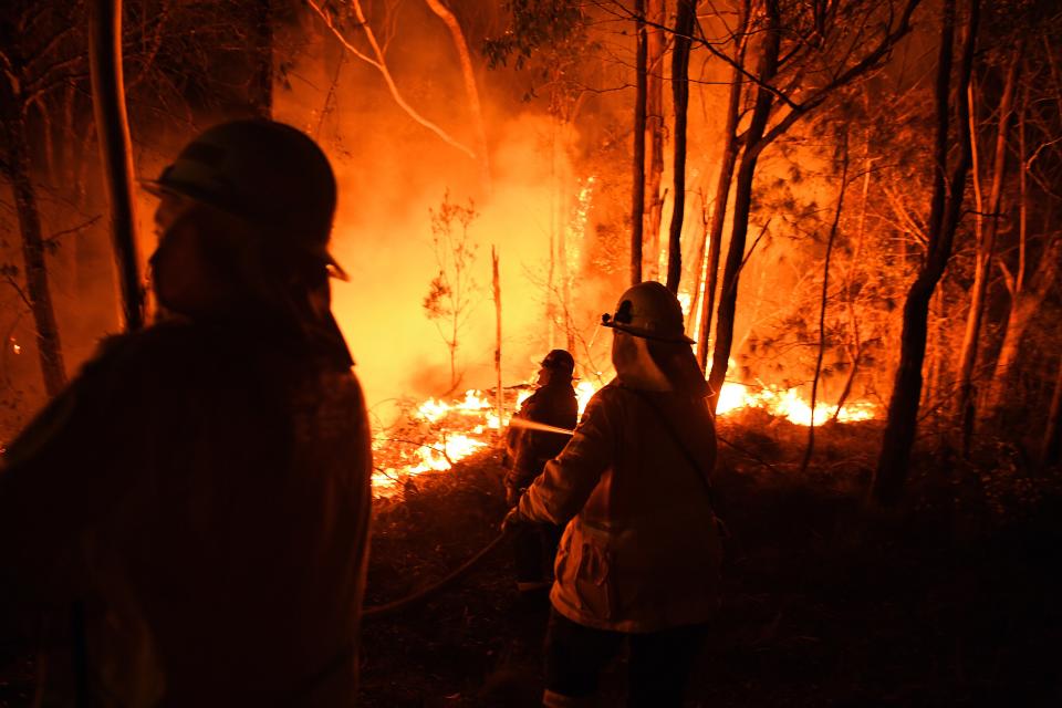 NSW RFS firefighters work through the night to prevent a flare-up from crossing the Kings Highway in between Nelligen and Batemans Bay.