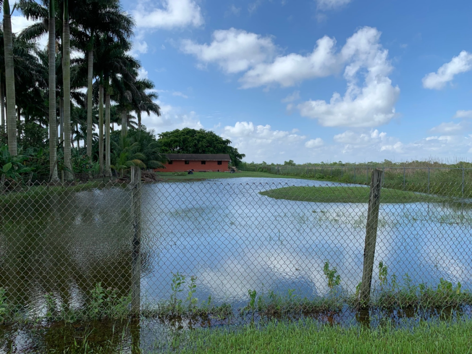 Jorge Luis Garcia’s house backs up to sawgrass marshes in the Las Palmas neighborhood.