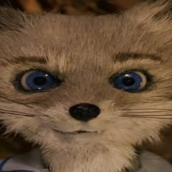 Kristofferson the fox in Fantastic Fox